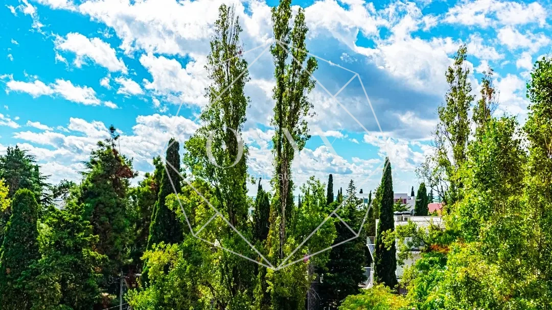 Изображение 17