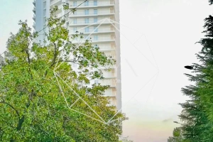 Изображение 14