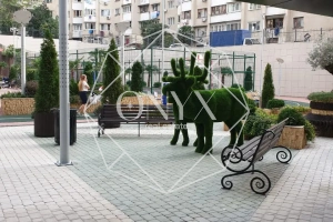 Изображение 9