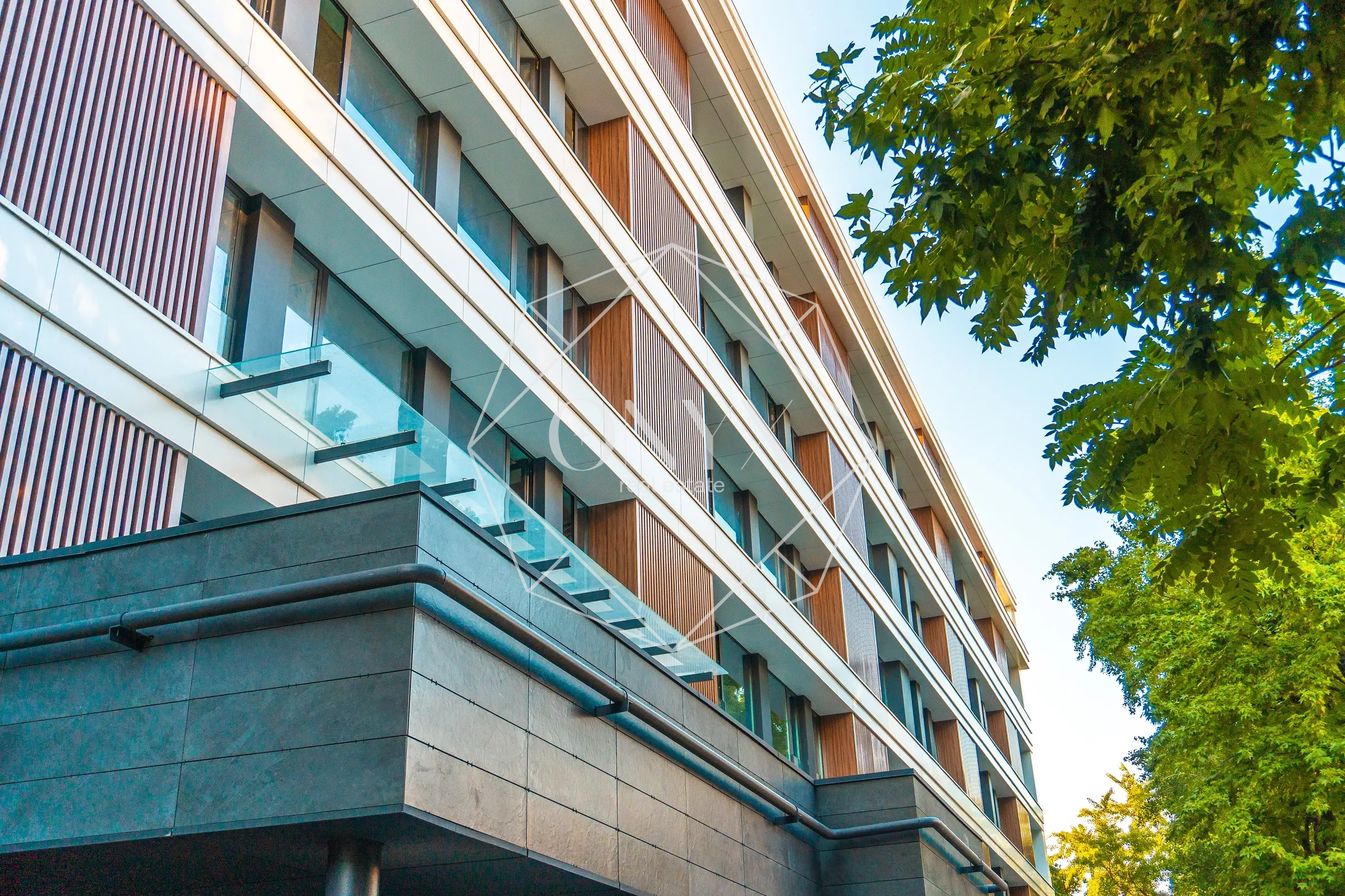 Изображение 19