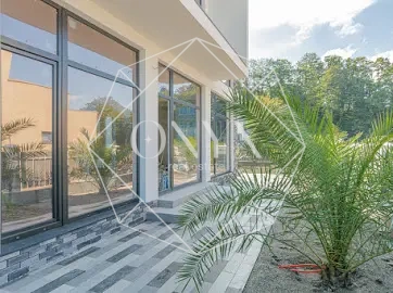 Изображение 12