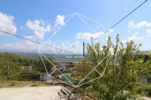 Изображение 14