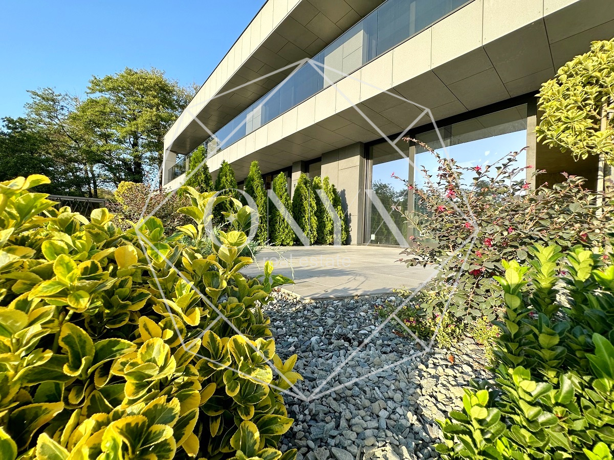 Изображение 11