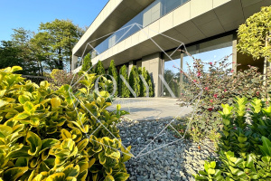 Изображение 11