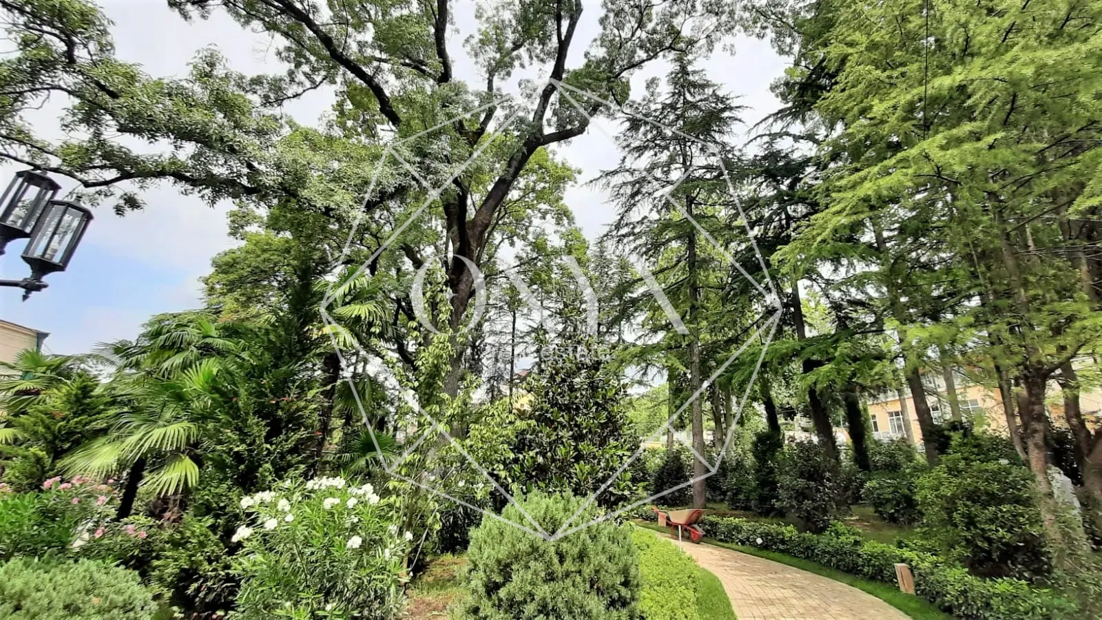 Изображение 9