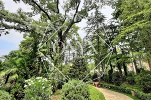 Изображение 9