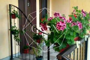 Изображение 11