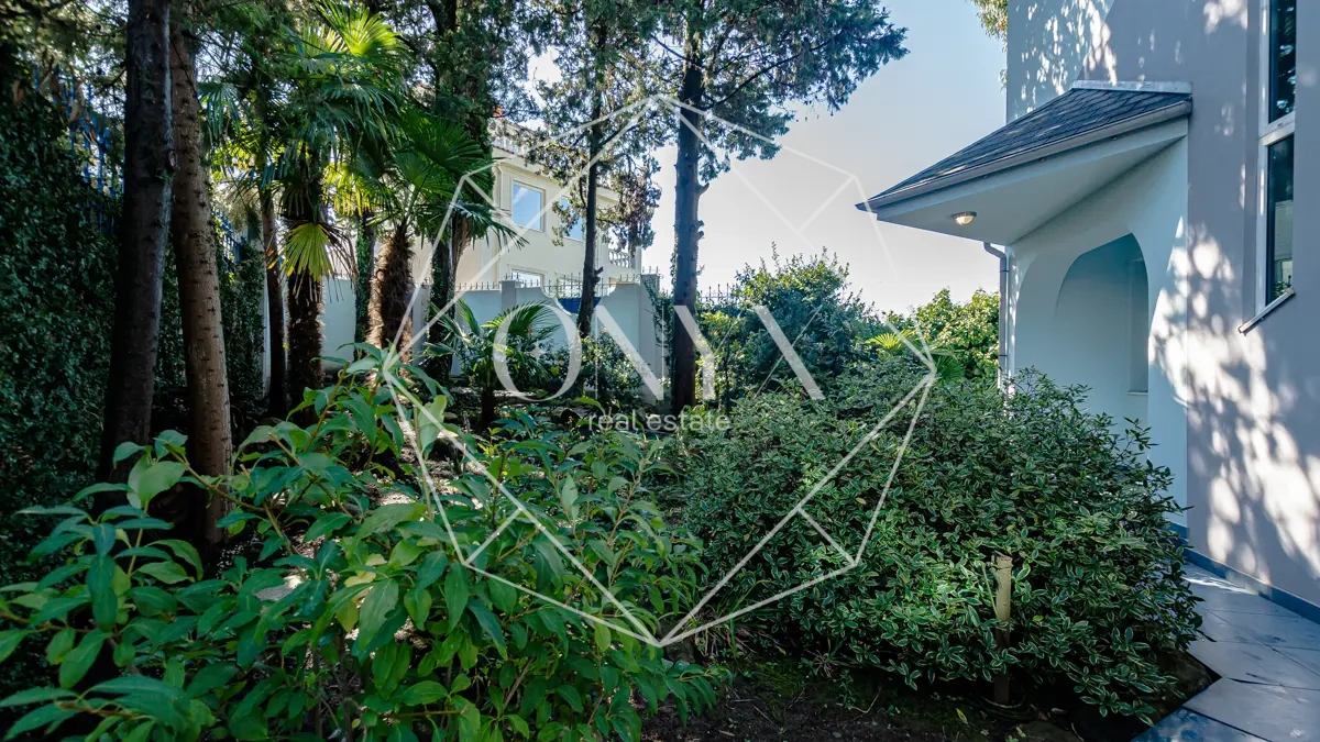 Изображение 8