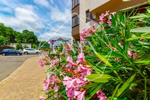 Изображение 23