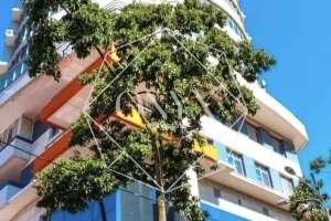 Изображение 12