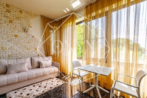 Изображение 12