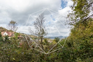 Изображение 40