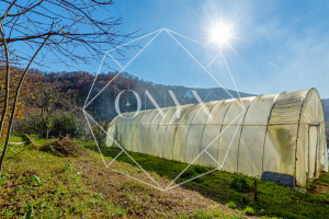 Изображение 9