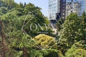 Изображение 12