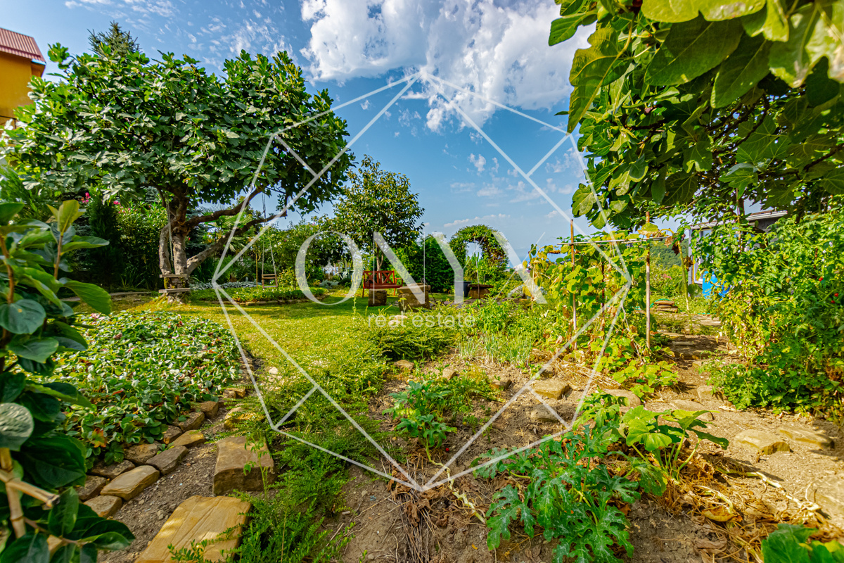 Изображение 14