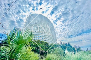 Изображение 25