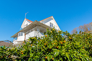 Усадьба о которой мечтают сотни тысяч человек