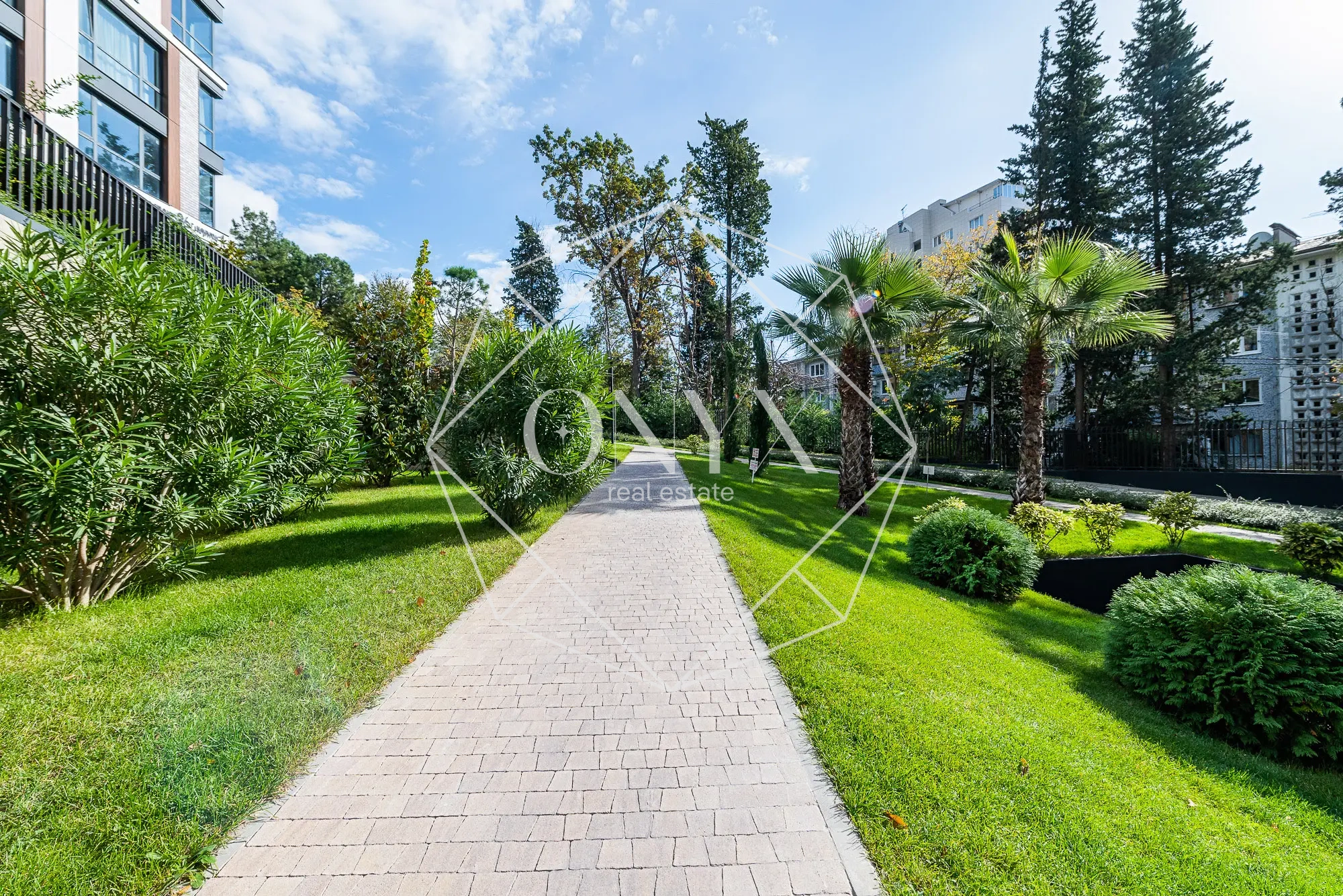 Изображение 17