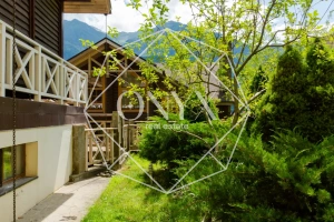 Изображение 51