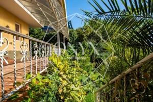 Изображение 12