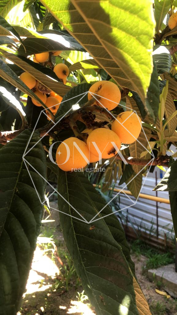 Изображение 15